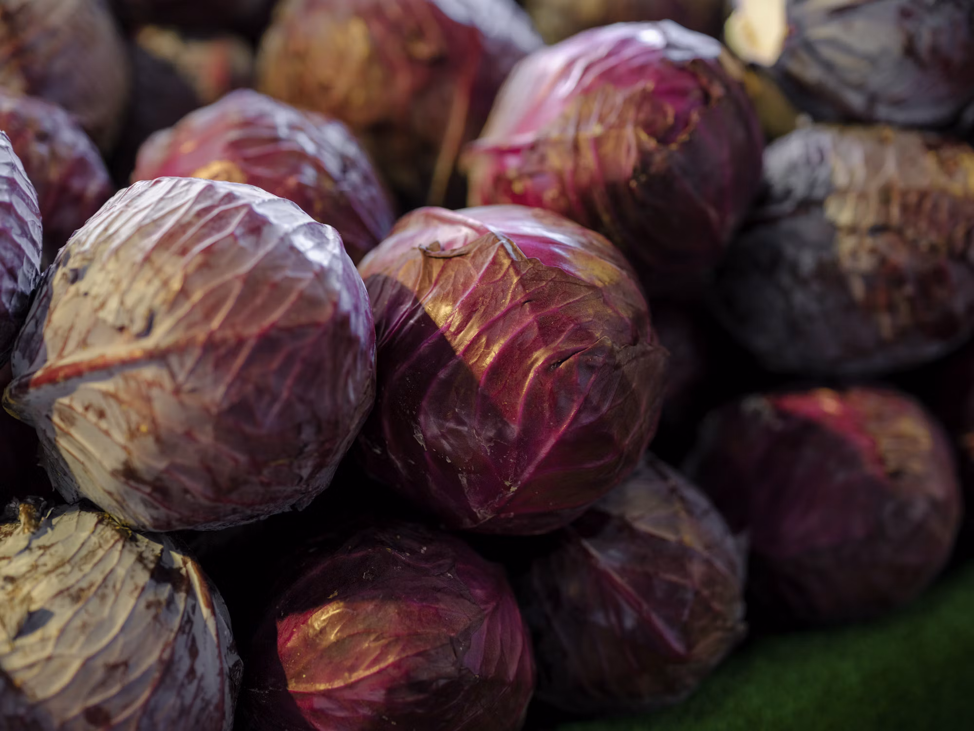 A Culinary Odyssey: Discovering the World’s Most Iconic Dishes